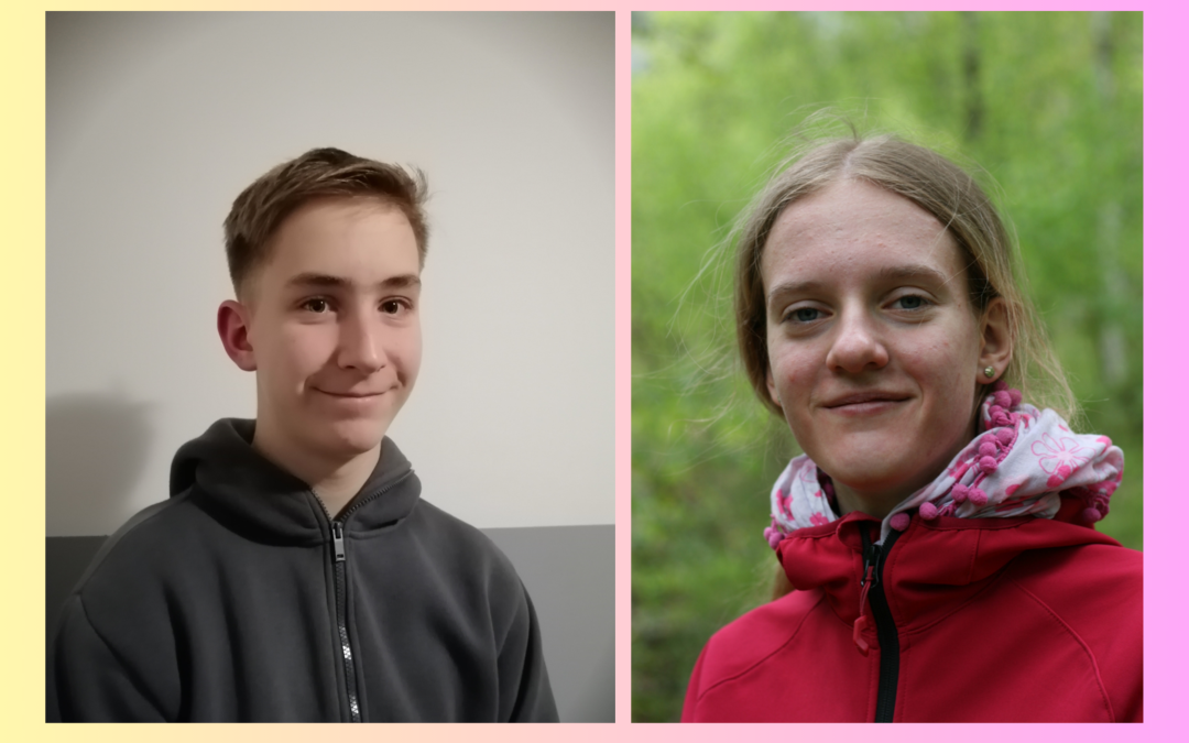 Državno tekmovanje v razvedrilni matematiki